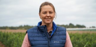 Aktualnie na plantacji borówki – Dorota Furmaniak, 05.10.2023 [Video]