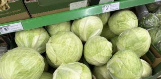 Aktualne ceny kapusty w markecie. Klient płaci kilkukrotnie więcej niż u rolnika