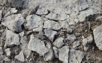 Gleba jako najważniejsze ogniwo efektywnej produkcji roślin Gleba