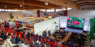 Spotkanie Sadownicze w Sandomierzu – zapraszamy 31 stycznia i 1 lutego 2024!