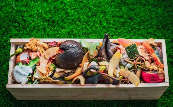 Nawozy domowej roboty – proste i ekologiczne Nawozy domowej roboty