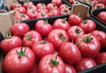 Zimowe ceny pomidorów, ale czy wszystkich? Niektóre są mniej cenione [13.03.2024]