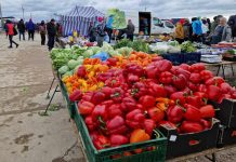 Słomczyn – centrum handlu wycofanymi warzywami niskiej jakości. Interes kręci się w najlepsze