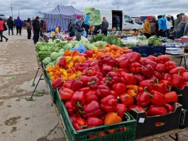 Słomczyn – centrum handlu wycofanymi warzywami niskiej jakości. Interes kręci się w najlepsze Handel warzywami w Słomczynie