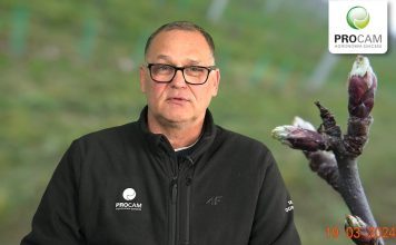 Komunikat sadowniczy PROCAM 01 z 19.03.2024 Dr Krzysztof Gasparski