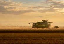 Klasyka rolnictwa: Dominator był niezrównany