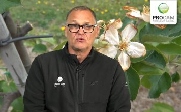 Komunikat sadowniczy PROCAM 06 z 24.04.2024 Krzysztof Gasparski