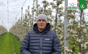 Sytuacja w sadach po przymrozkach – Robert Binkiewicz, Agrosimex, 23.04.2024 Robert Binkiewicz - komunikat 23.04.2024