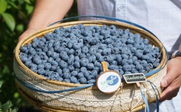 300 milionów kilogramów przyjemności, satysfakcji, zadowolenia i powodów do dumy Borowki