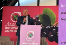 Export owoców do Chin – czy to realna szansa?