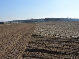 Jak zniwelować nadmierne ugniatanie pola Pole - wiosenna uprawa