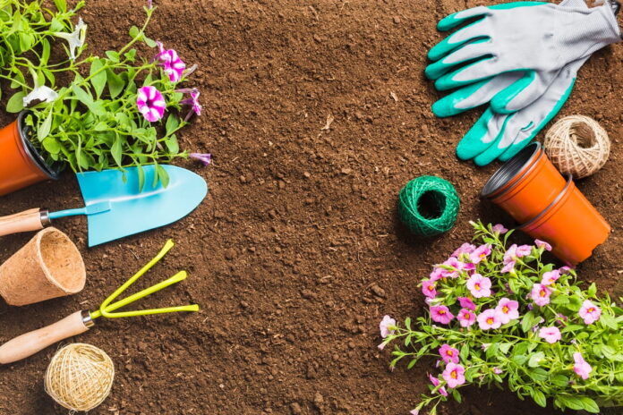 top-view-gardening-tools-ground (1) Narzędzia i kwiaty w ogrodzie